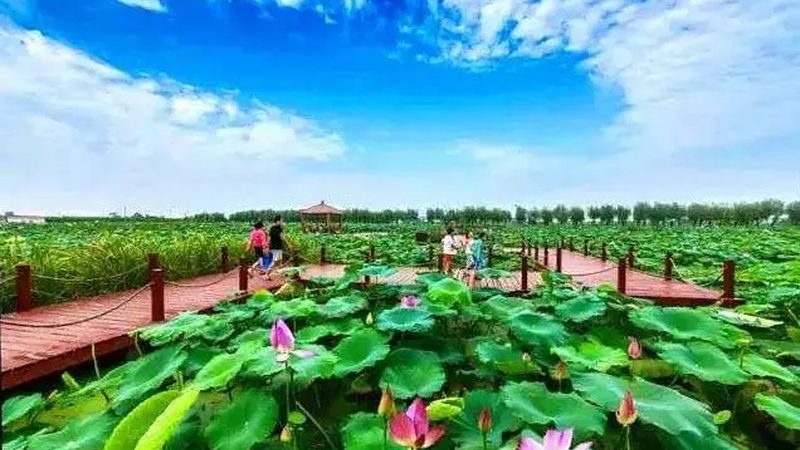 采摘园选址：如何慧眼识珠，选到优质地块？**