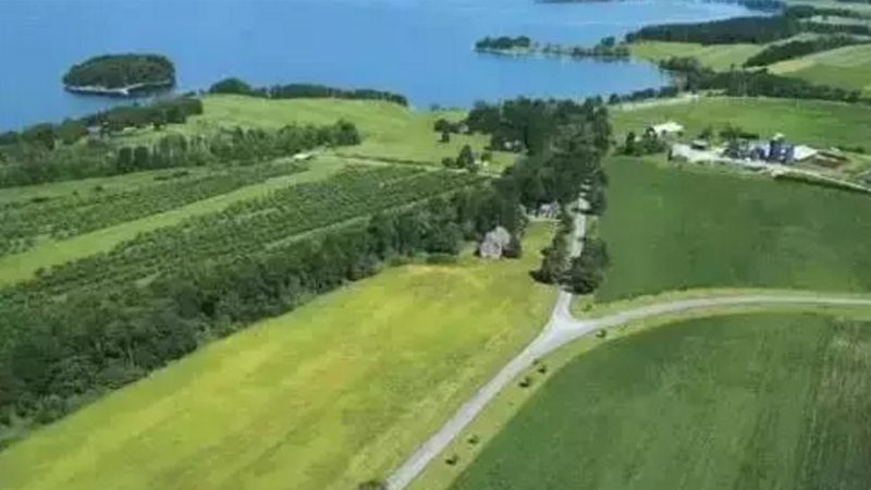 承包土地，农业种植公司如何走流程？**