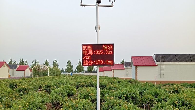 荒山变良田：揭秘荒山改造成粮食种植的五大方法**