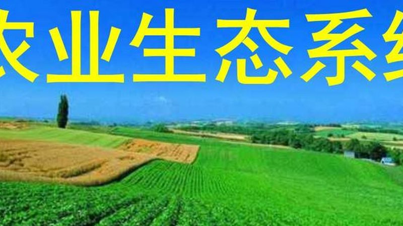 农产品配送设备：区别于普通配送，守护舌尖上的安全**