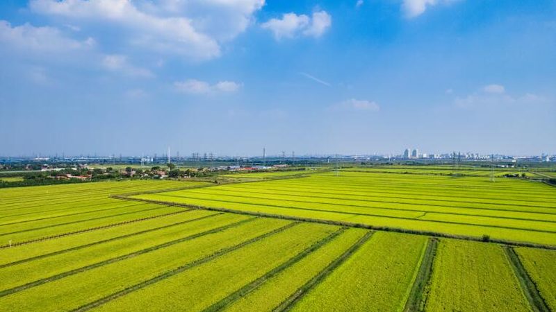 半成品生鲜配送定制系统主要由以下几个部分构成：