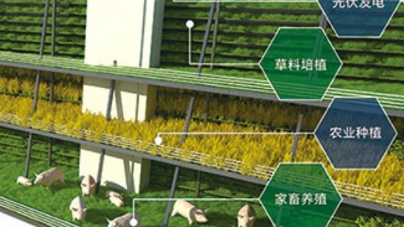 揭秘全国农产品批发市场十强：探寻流通枢纽的秘密**
