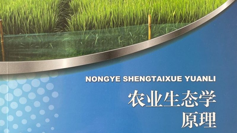 农业合作社贷款拒批常见原因解析