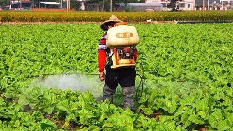 生态循环农业模式：适合哪些行业开启绿色转型之路**