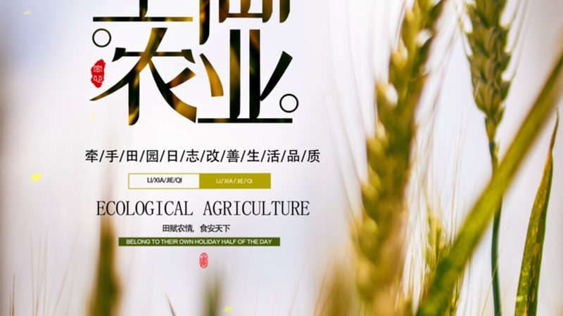 成都休闲农业项目投资多少钱？揭秘投资成本构成与盈利模式