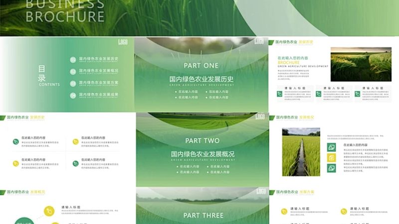 项目规划：明确目标与需求